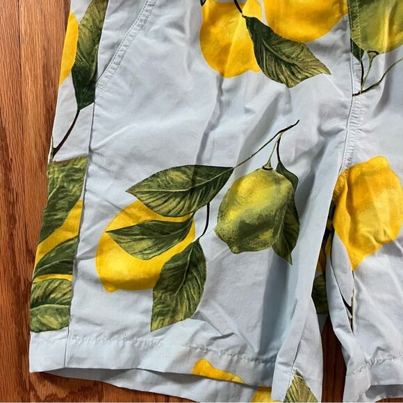 Original Use Lemon Print Board shorts Light Blue Size Small - Picture 2 of 6